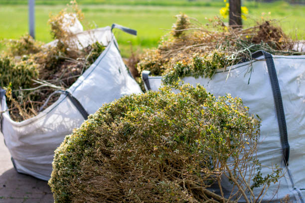 Best Household Junk Removal  in Meadow Vista, CA