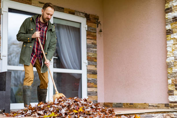 Best Construction Debris Removal  in Meadow Vista, CA